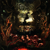 Cenotaph: Putrescent Infectious Rabidity