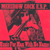 Music For Man With No Name