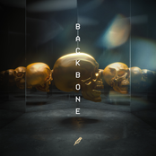 Droeloe: BACKBONE