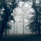 Joseph Decosimo: the aluminum wonder