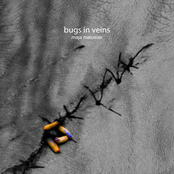 bugs in veins