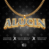 Alucin