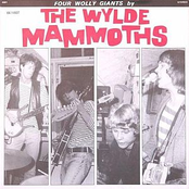 I Got You by The Wylde Mammoths