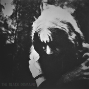 The Black Domains