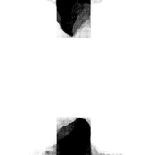 Body Lag / Craedle Calls