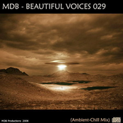 BEAUTIFUL VOICES 029 (AMBIENT-CHILL MIX)
