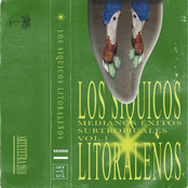 Medianos éxitos subtropicales, Vol. 1