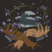 wave~seed