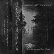 Serenade of the Silent Grove