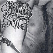 Bukkake Violence Kommando / Gorgonized Dorks