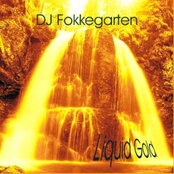 DJ Fokkegarten_Liquid Gold