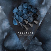 polytype