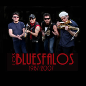 Los Bluesfalos