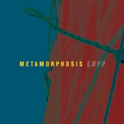 Metamorphosis - LUFF, 2006 - LEO RECORDS