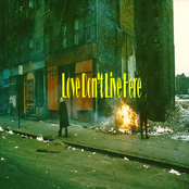 Love Don't Live Here