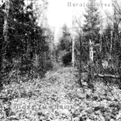 Пока ты спишь