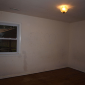 first demo [spray paint demo]