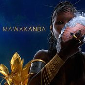 MaWakanda