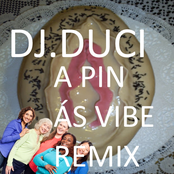 A PINÁS VIBE REMIX