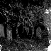 Harvesting The Toil Of Flesh Beyond The Entombment Of The Extinction That It Bore