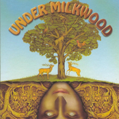 Ballad Of The Spirit Of The World by Under Milkwood