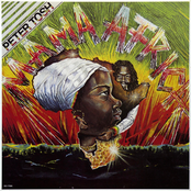 Stop That Train by Peter Tosh