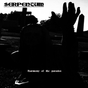 Harmony of the paradox