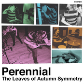 Perennial: The Leaves Of Autumn Symmetry