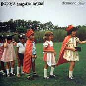 Tears In Disguise by Gorky's Zygotic Mynci