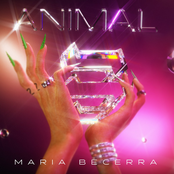 Maria Becerra: Animal
