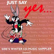 Just Say Yes (Winter Sampler)