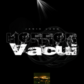 Horror vacui