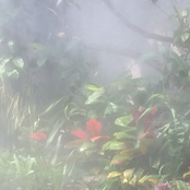 The Ruined Frame & the 7,000 Corners