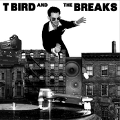 Juice by T Bird And The Breaks