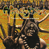 Product of The Environment