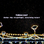 Under the streetlight, Swarming insect