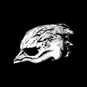 Legend of the Seagullmen [Explicit]