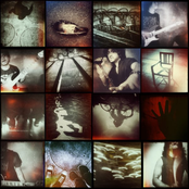 The Fossils: Fossils 4