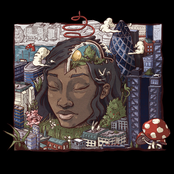 Stillness In Wonderland cover