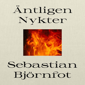 äntligen nykter