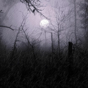 .​.​.​Without End