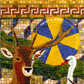 The Sound Isn'T Organized Yet