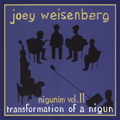 Joey's Nigunim Volume II, Transformation of a Nigun