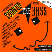 Turn Up The Bass - Volume 2