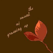 The Sound Of Growing Up