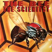 The Bee by The Scientist