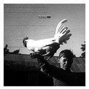 The World Is Dead Prose To Me