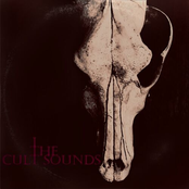 The Cult Sounds - EP