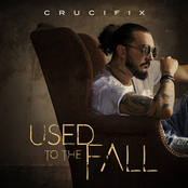 Crucifix: Used to the Fall