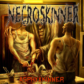 Necroskinner